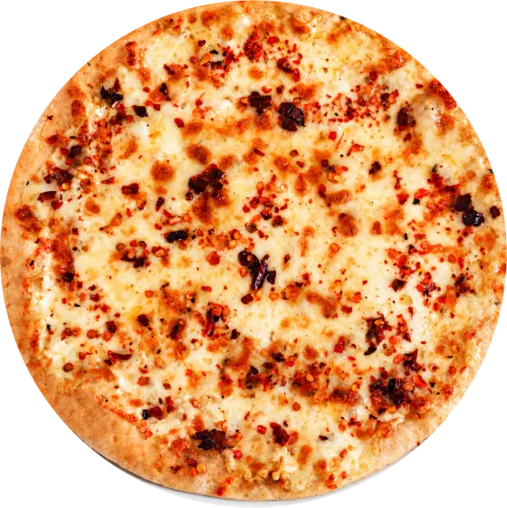 vegetarian pizza